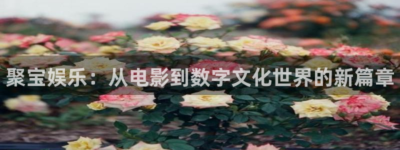 电影秋霞网