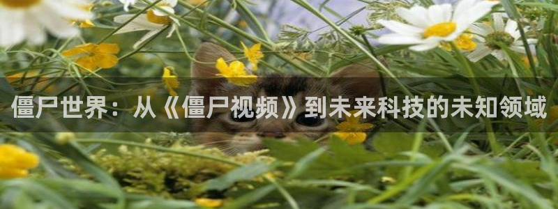 秋霞色播电影：僵尸世界：从《僵尸视频》到未来科技的未知领域