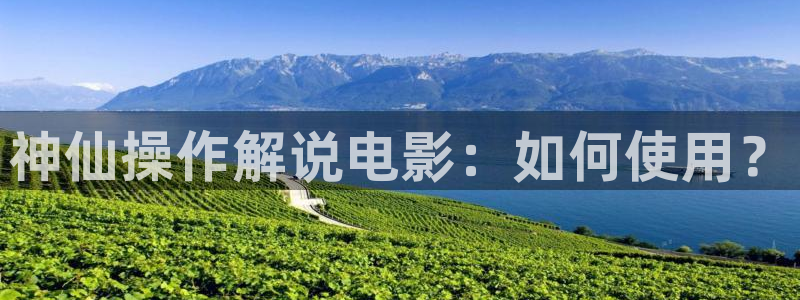 秋霞网97：神仙操作解说电影：如何使用？