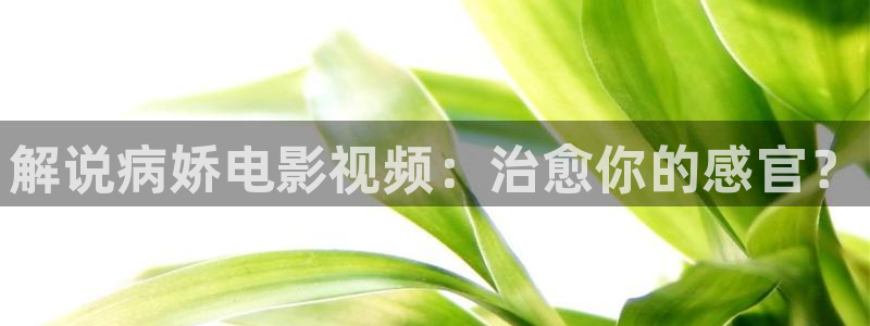 秋霞电影网zzcl：解说病娇电影视频：治愈你的感官？