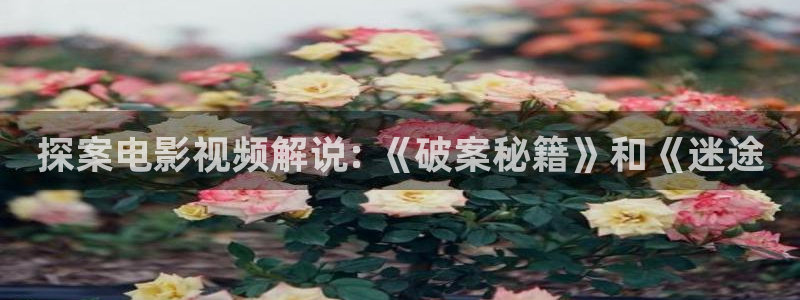 秋霞最新：探案电影视频解说: 《破案秘籍》和《迷途