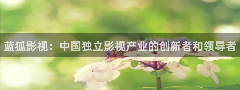 秋霞一：蓝狐影视：中国独立影视产业的创新者和领导者