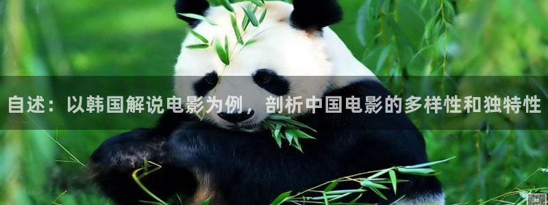 国产秋霞理论电影：自述：以韩国解说电影为例，剖析中国电影的多样性和独特性