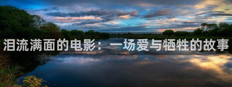 秋霞电影网址：泪流满面的电影：一场爱与牺牲的故事