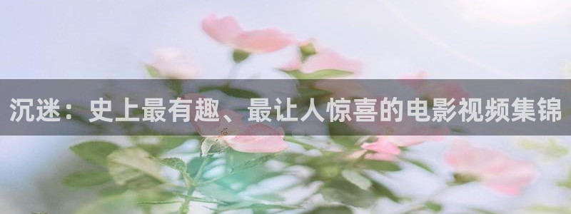 秋霞成：沉迷：史上最有趣、最让人惊喜的电影视频集锦