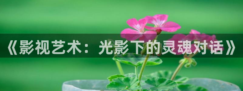 秋霞影院电视剧在线观看播放：《影视艺术：光影下的灵魂对话》