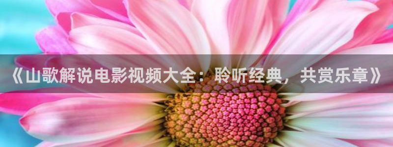 秋霞电影网电影网：《山歌解说电影视频大全：聆听经典，共赏乐章》