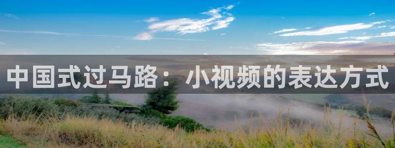 8秋霞：中国式过马路：小视频的表达方式