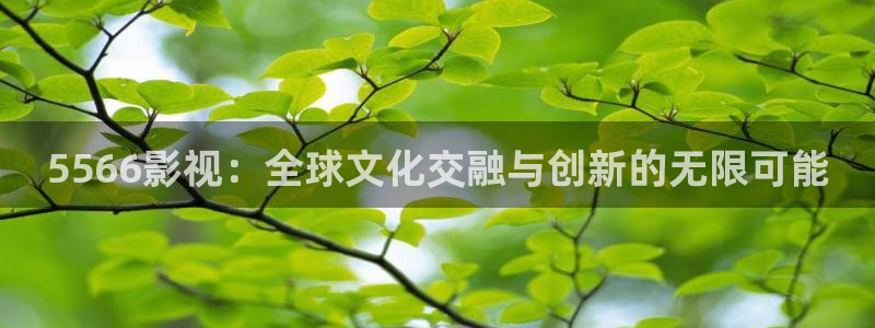 秋霞影院欧美一区二区三区：5566影视：全球文化交融与创新的无限可能