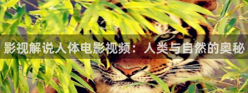 秋霞影院第一页：影视解说人体电影视频：人类与自然的奥秘